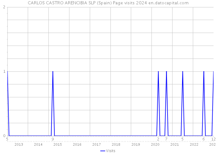 CARLOS CASTRO ARENCIBIA SLP (Spain) Page visits 2024 
