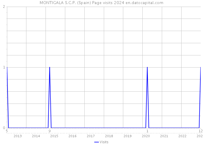 MONTIGALA S.C.P. (Spain) Page visits 2024 