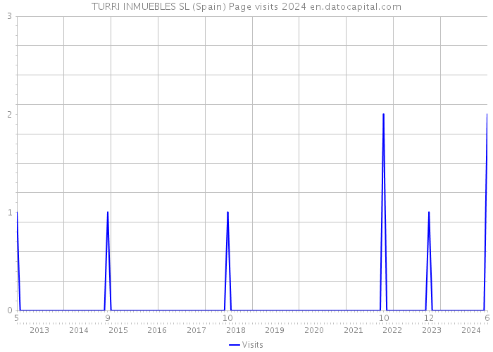 TURRI INMUEBLES SL (Spain) Page visits 2024 