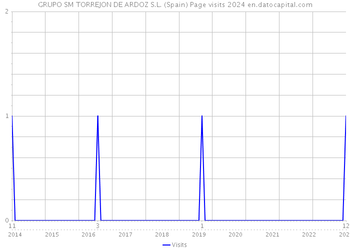 GRUPO SM TORREJON DE ARDOZ S.L. (Spain) Page visits 2024 