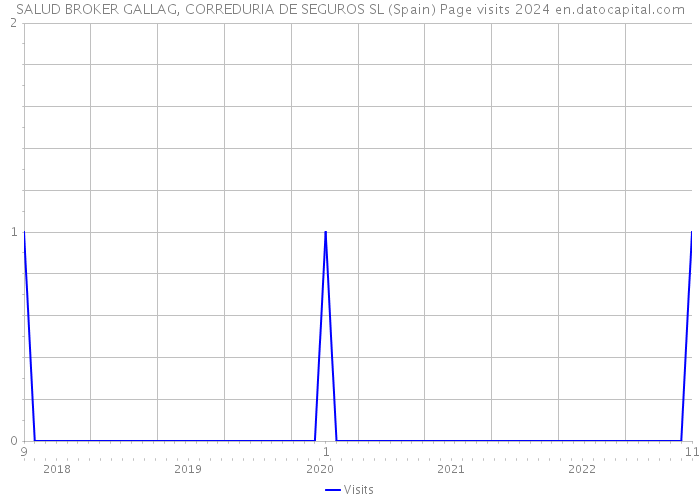 SALUD BROKER GALLAG, CORREDURIA DE SEGUROS SL (Spain) Page visits 2024 