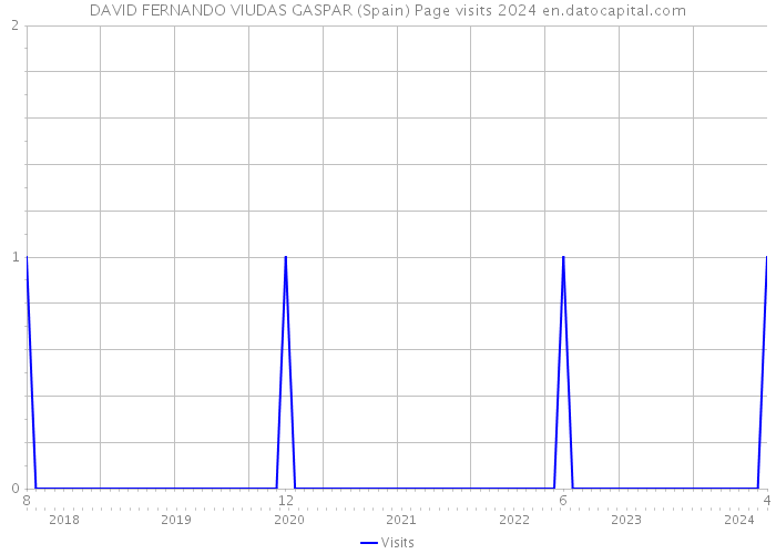 DAVID FERNANDO VIUDAS GASPAR (Spain) Page visits 2024 