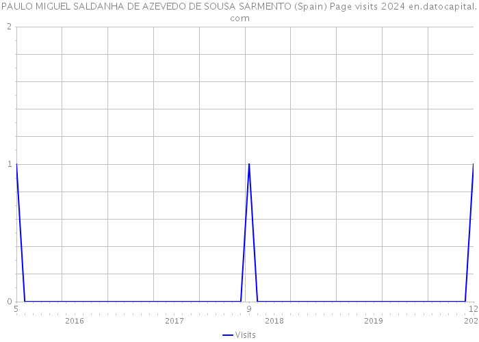 PAULO MIGUEL SALDANHA DE AZEVEDO DE SOUSA SARMENTO (Spain) Page visits 2024 