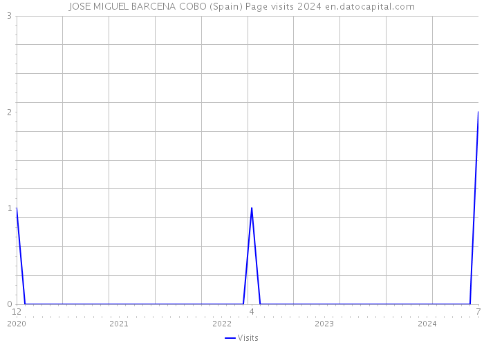 JOSE MIGUEL BARCENA COBO (Spain) Page visits 2024 