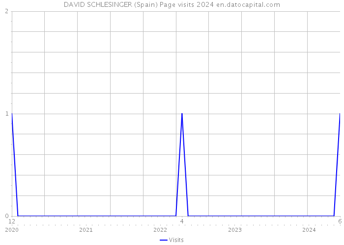 DAVID SCHLESINGER (Spain) Page visits 2024 