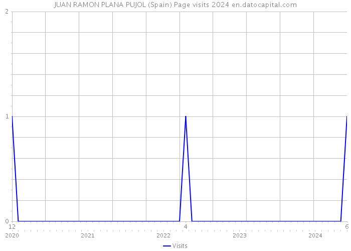 JUAN RAMON PLANA PUJOL (Spain) Page visits 2024 