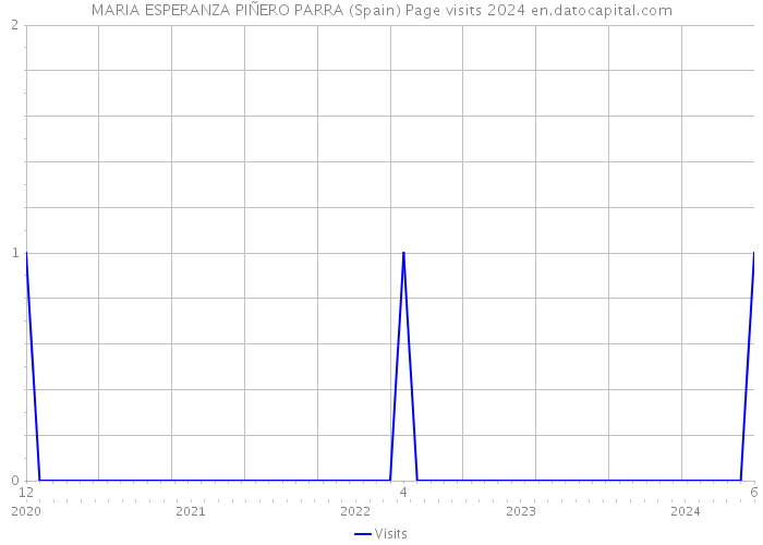 MARIA ESPERANZA PIÑERO PARRA (Spain) Page visits 2024 