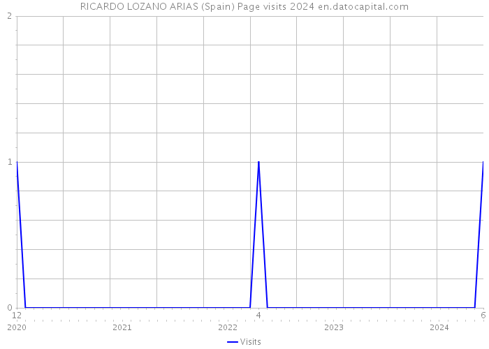 RICARDO LOZANO ARIAS (Spain) Page visits 2024 