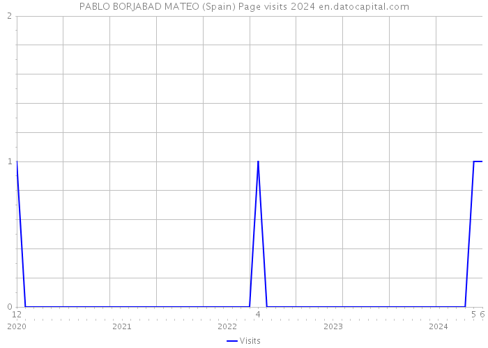 PABLO BORJABAD MATEO (Spain) Page visits 2024 