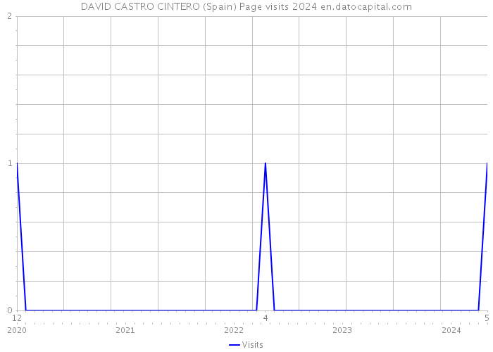 DAVID CASTRO CINTERO (Spain) Page visits 2024 