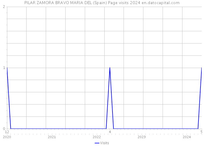 PILAR ZAMORA BRAVO MARIA DEL (Spain) Page visits 2024 