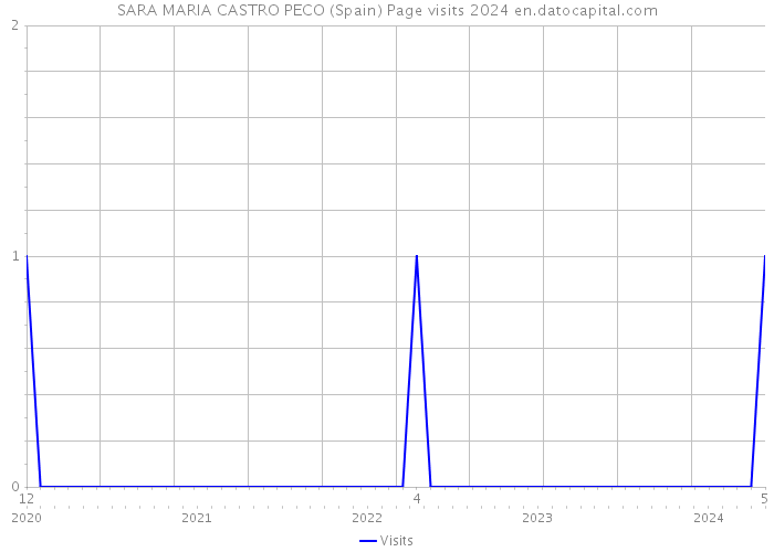 SARA MARIA CASTRO PECO (Spain) Page visits 2024 