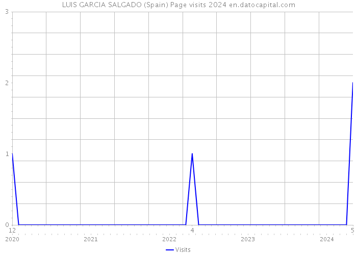 LUIS GARCIA SALGADO (Spain) Page visits 2024 
