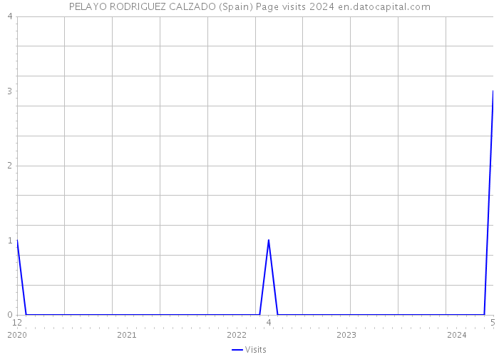 PELAYO RODRIGUEZ CALZADO (Spain) Page visits 2024 
