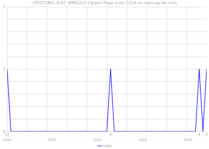 CRISTOBAL RUIZ VERDUGO (Spain) Page visits 2024 