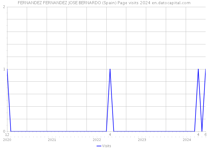 FERNANDEZ FERNANDEZ JOSE BERNARDO (Spain) Page visits 2024 