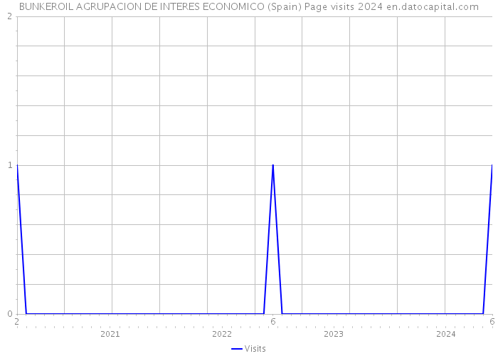 BUNKEROIL AGRUPACION DE INTERES ECONOMICO (Spain) Page visits 2024 