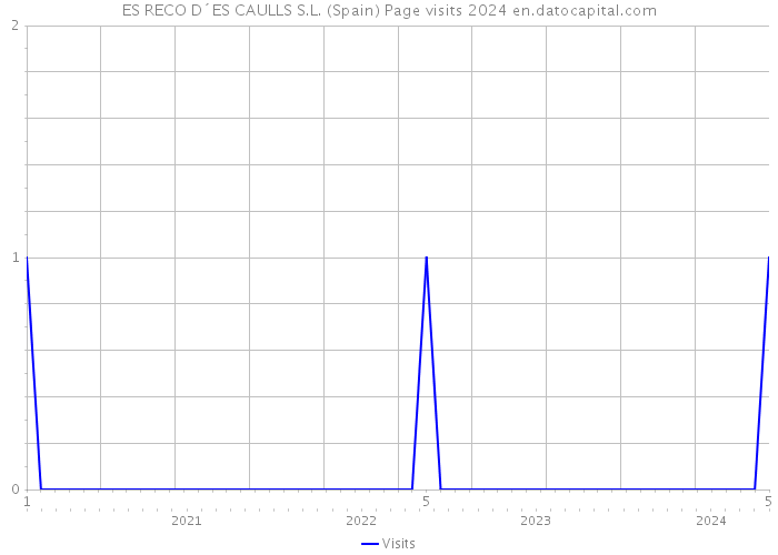ES RECO D´ES CAULLS S.L. (Spain) Page visits 2024 