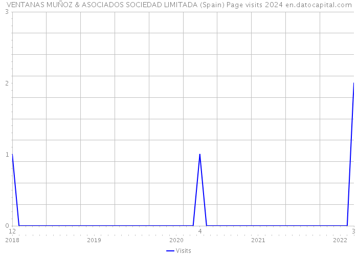 VENTANAS MUÑOZ & ASOCIADOS SOCIEDAD LIMITADA (Spain) Page visits 2024 