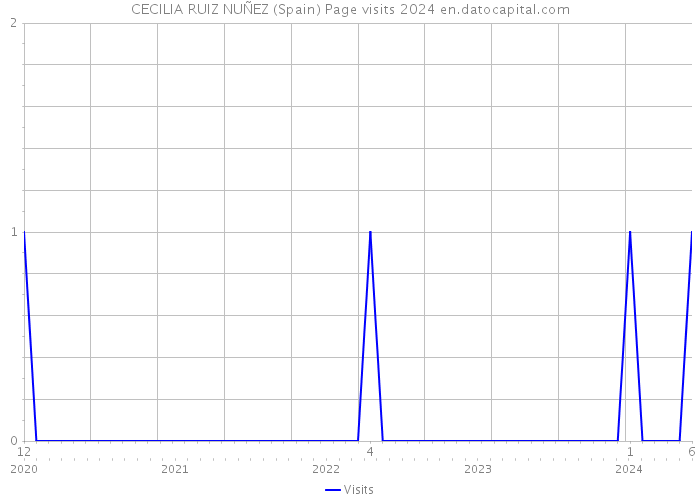 CECILIA RUIZ NUÑEZ (Spain) Page visits 2024 