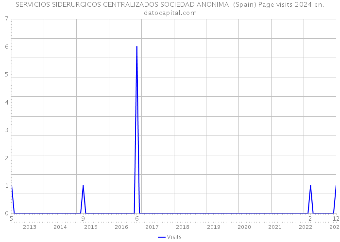 SERVICIOS SIDERURGICOS CENTRALIZADOS SOCIEDAD ANONIMA. (Spain) Page visits 2024 
