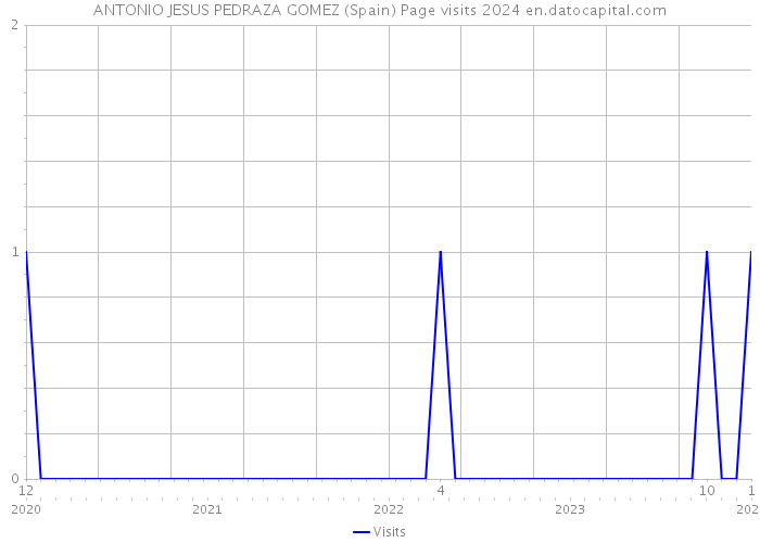 ANTONIO JESUS PEDRAZA GOMEZ (Spain) Page visits 2024 