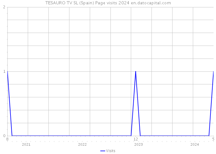 TESAURO TV SL (Spain) Page visits 2024 