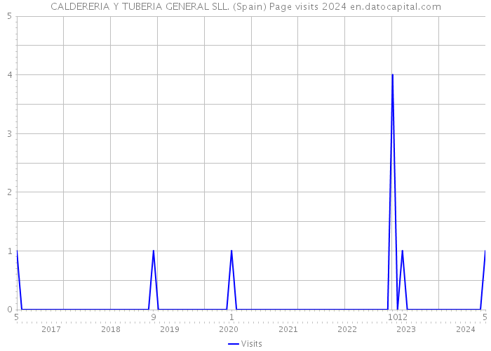 CALDERERIA Y TUBERIA GENERAL SLL. (Spain) Page visits 2024 