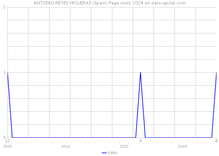 ANTONIO REYES HIGUERAS (Spain) Page visits 2024 