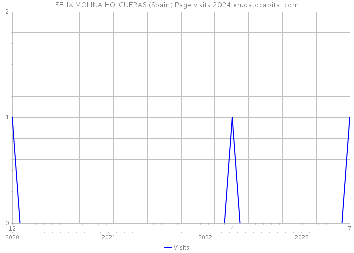 FELIX MOLINA HOLGUERAS (Spain) Page visits 2024 