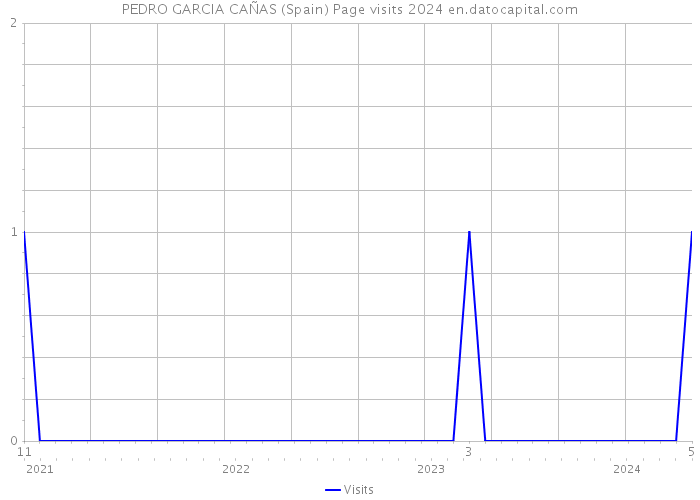 PEDRO GARCIA CAÑAS (Spain) Page visits 2024 