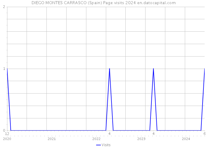 DIEGO MONTES CARRASCO (Spain) Page visits 2024 