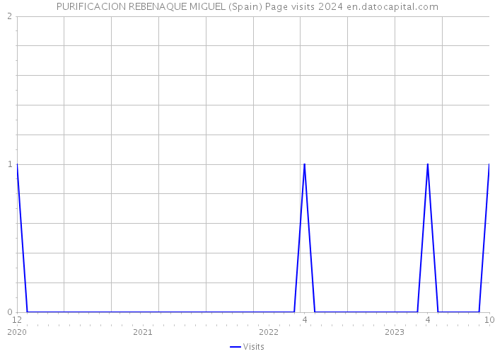 PURIFICACION REBENAQUE MIGUEL (Spain) Page visits 2024 