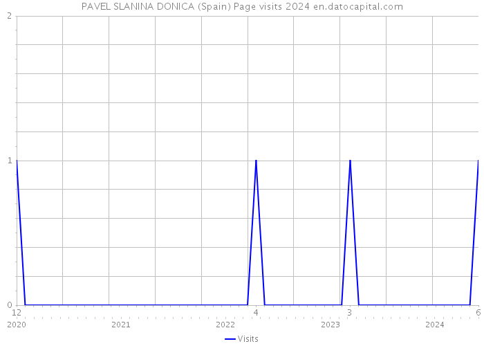 PAVEL SLANINA DONICA (Spain) Page visits 2024 