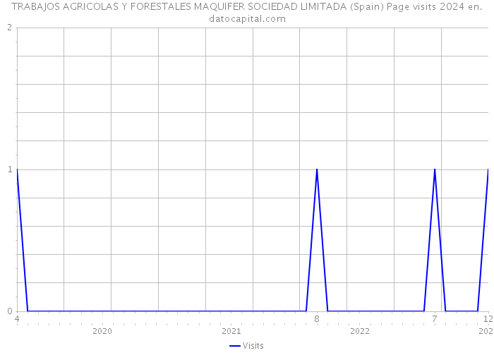 TRABAJOS AGRICOLAS Y FORESTALES MAQUIFER SOCIEDAD LIMITADA (Spain) Page visits 2024 