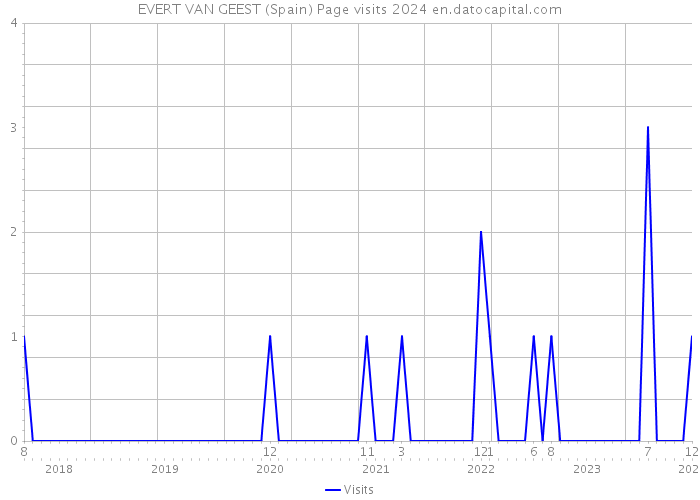EVERT VAN GEEST (Spain) Page visits 2024 