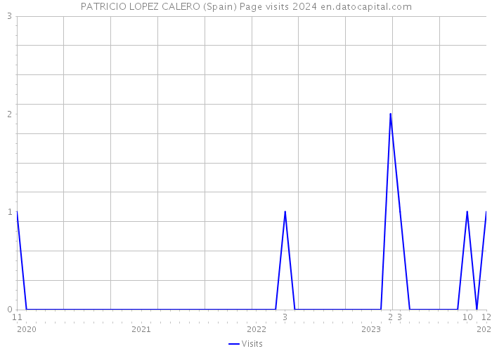 PATRICIO LOPEZ CALERO (Spain) Page visits 2024 