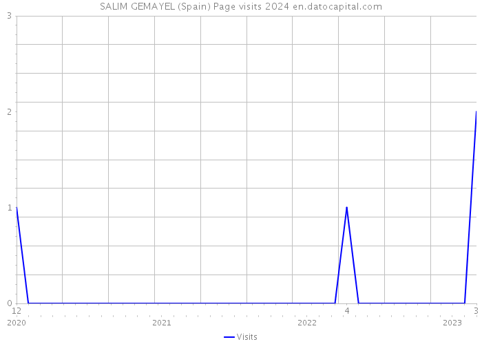 SALIM GEMAYEL (Spain) Page visits 2024 