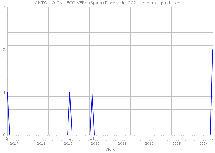 ANTONIO GALLEGO VERA (Spain) Page visits 2024 