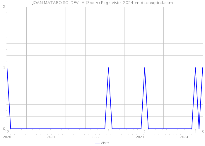 JOAN MATARO SOLDEVILA (Spain) Page visits 2024 