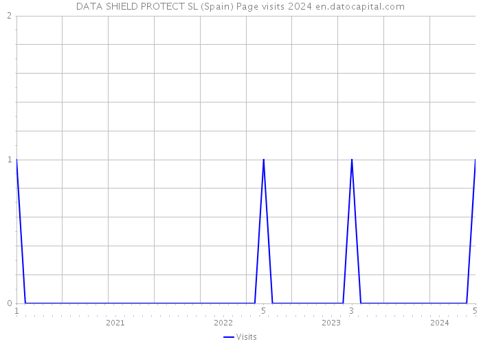 DATA SHIELD PROTECT SL (Spain) Page visits 2024 