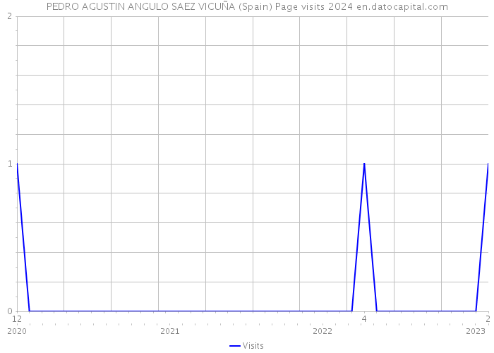 PEDRO AGUSTIN ANGULO SAEZ VICUÑA (Spain) Page visits 2024 