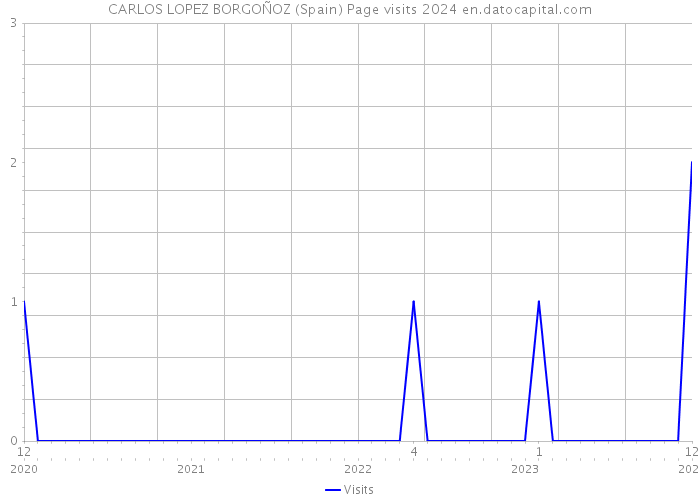 CARLOS LOPEZ BORGOÑOZ (Spain) Page visits 2024 