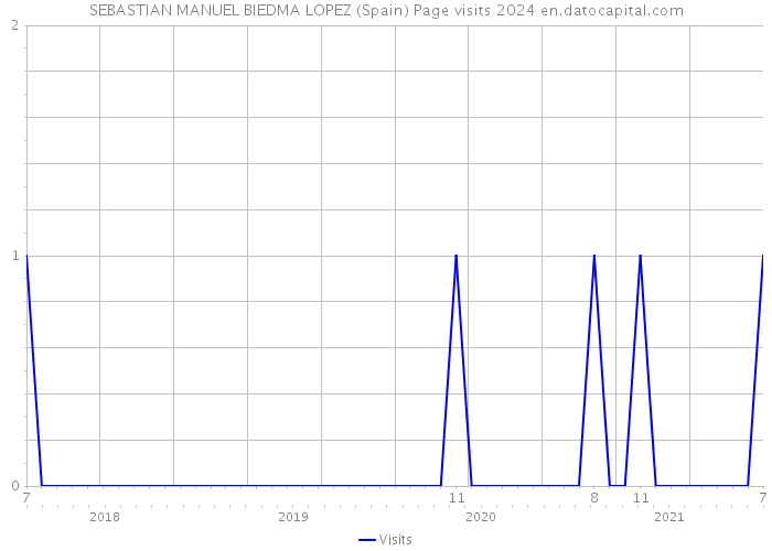 SEBASTIAN MANUEL BIEDMA LOPEZ (Spain) Page visits 2024 