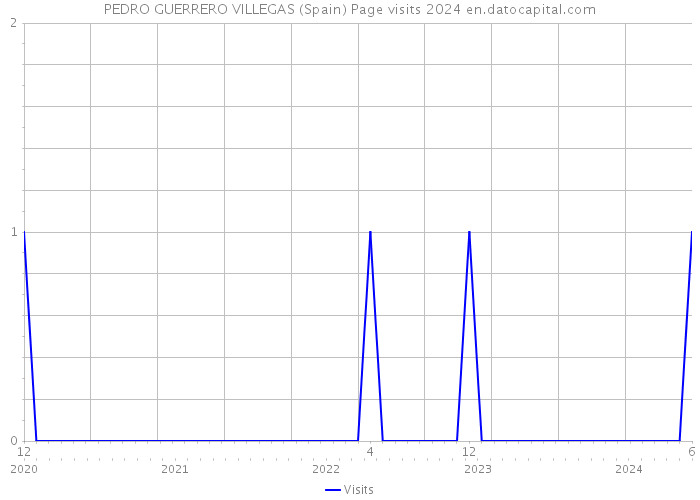 PEDRO GUERRERO VILLEGAS (Spain) Page visits 2024 