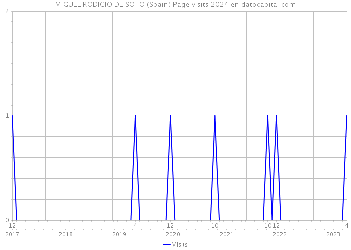 MIGUEL RODICIO DE SOTO (Spain) Page visits 2024 
