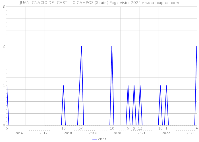 JUAN IGNACIO DEL CASTILLO CAMPOS (Spain) Page visits 2024 