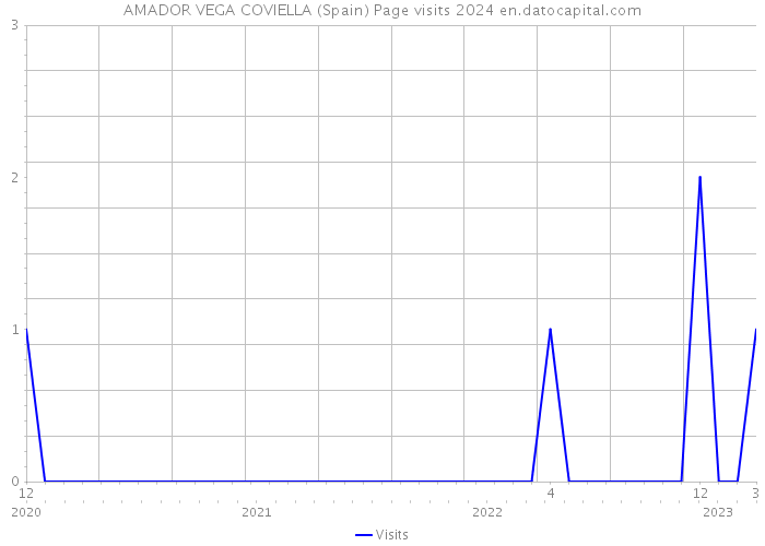AMADOR VEGA COVIELLA (Spain) Page visits 2024 