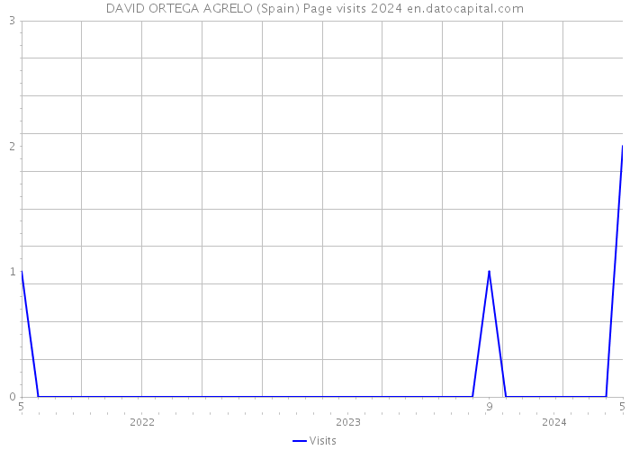 DAVID ORTEGA AGRELO (Spain) Page visits 2024 
