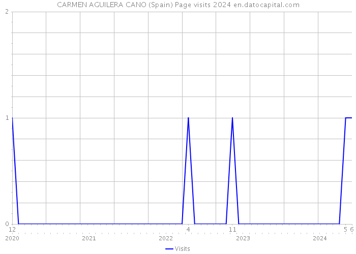 CARMEN AGUILERA CANO (Spain) Page visits 2024 